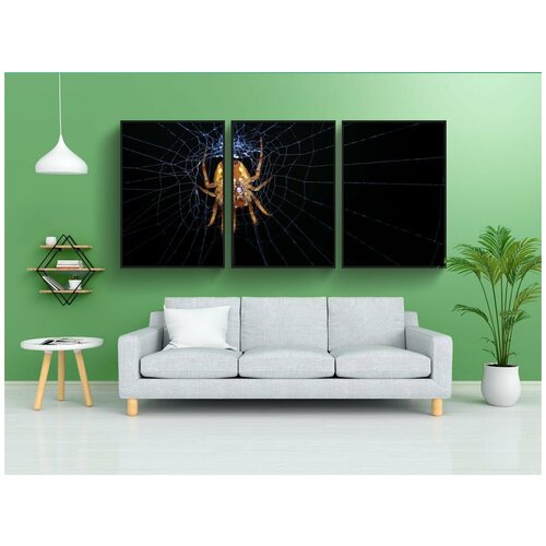 фото Набор модулных постеров для интерьера "паук, сеть, паутина" 60x90 см. в тубусе, без рамки lotsprints