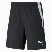 Шорты спортивные PUMA Teamliga Training Shorts 2