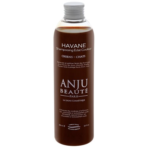 Anju Beaute - Шампунь Рыжие, шоколадные и коричневые окрасы, Shampooing Havane