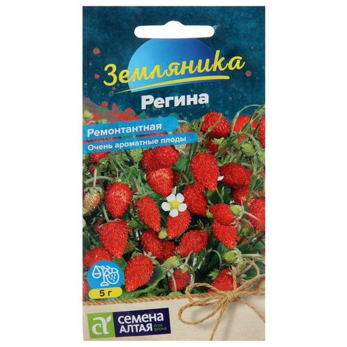 Семена Земляника 'Регина', ремонтантная, Сем. Алт, ц/п, 0,04 г