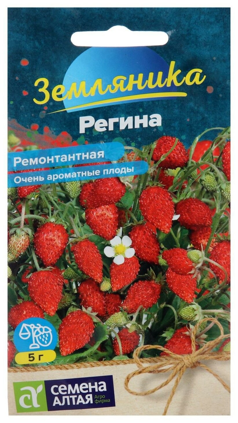 Семена Земляника 