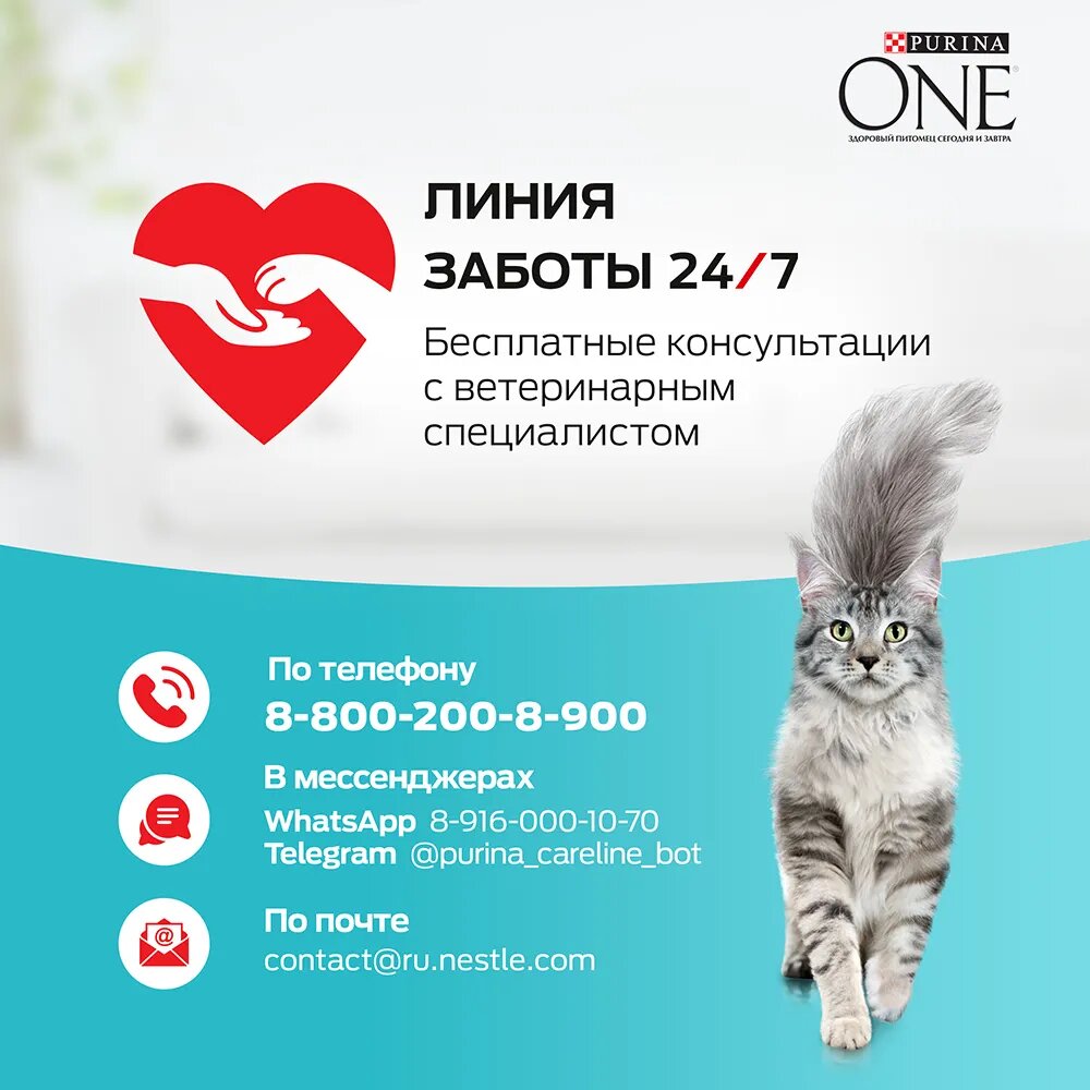 PURINA ONE 750 г сухой корм для стерилизованных кошек и кастрированных котов, с высоким содержанием говядины - фотография № 13