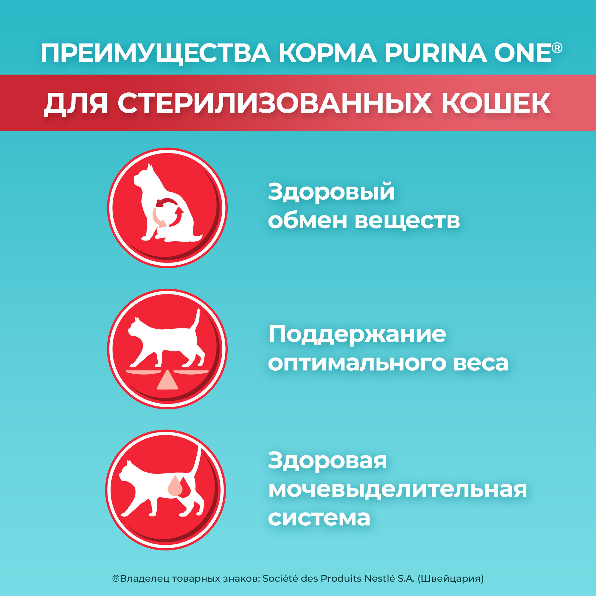 Сухой корм PURINA ONE® для стерилизованных кошек и кастрированных котов с лососем, 3 кг — фото 1