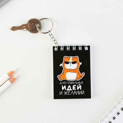 Блокнот-брелок Для гениальных идей 55 х 75 см 256₽