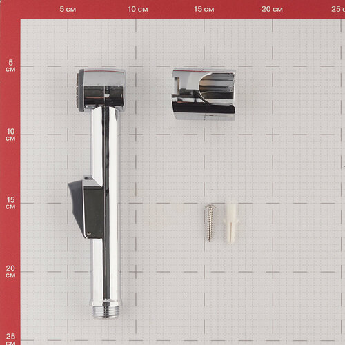 Лейка гигиеническая Corsa Deco Aura хром 672262 1010₽