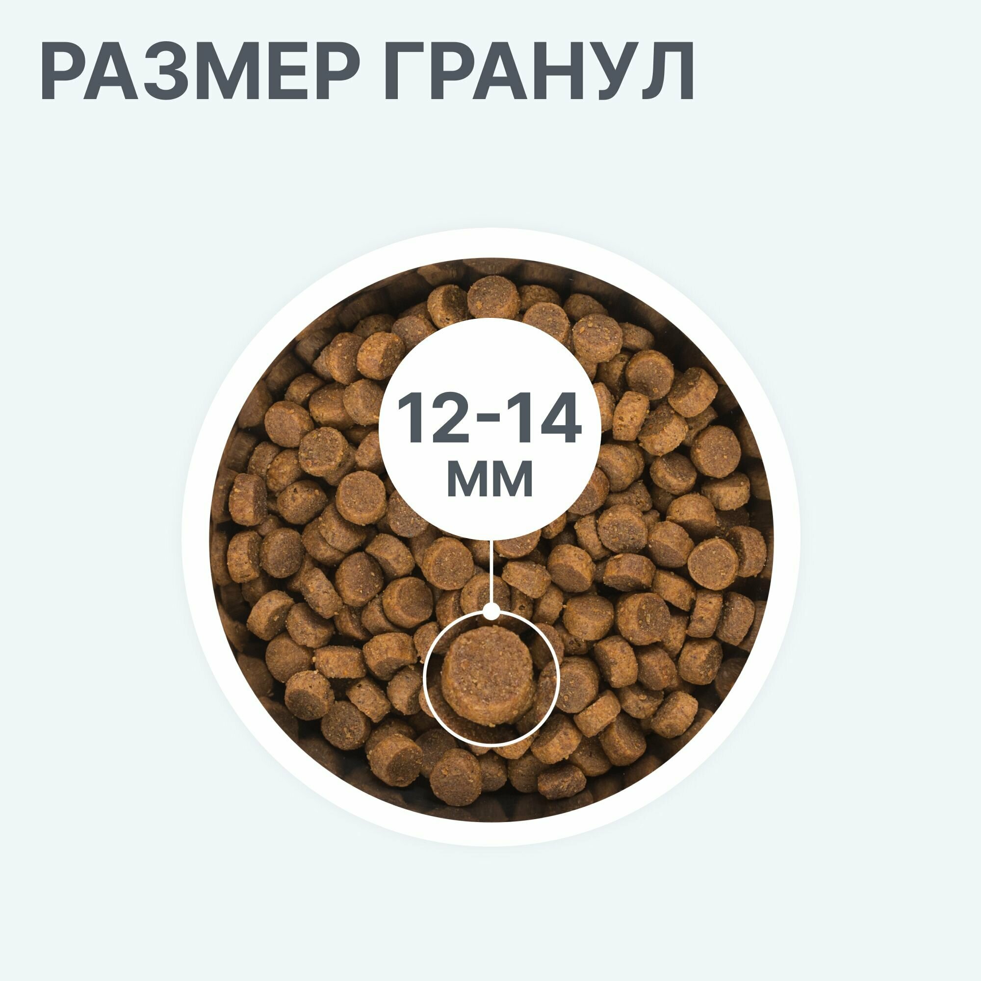 Корм для собак сухой BOWL WOW для собак средних пород с индейкой, рисом и яблоком, 2 кг — фото 1