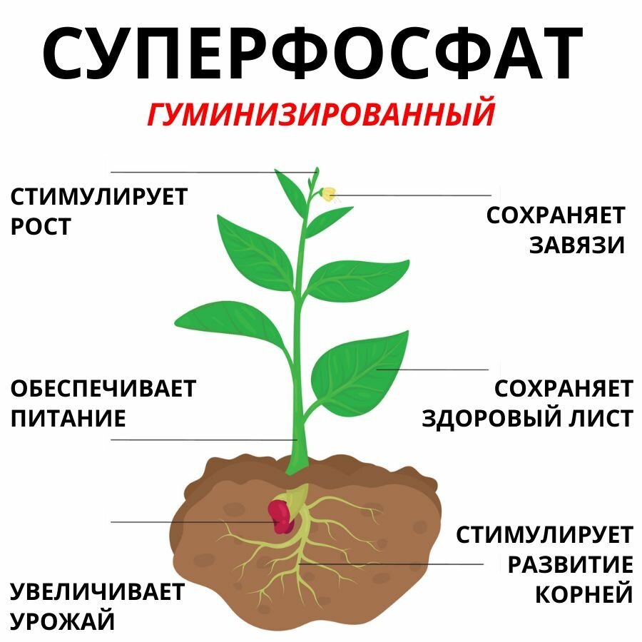 Удобрение комплексное Суперфосфат гуминизированный, 0,9 кг, 1 упаковка — фото 1