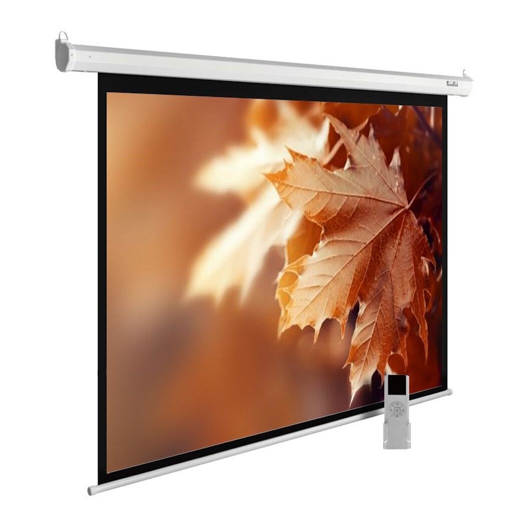 Экран для проектора Cactus MotoExpert CS-PSME-300x188-WT 139.39", 16:10, 188x300 см