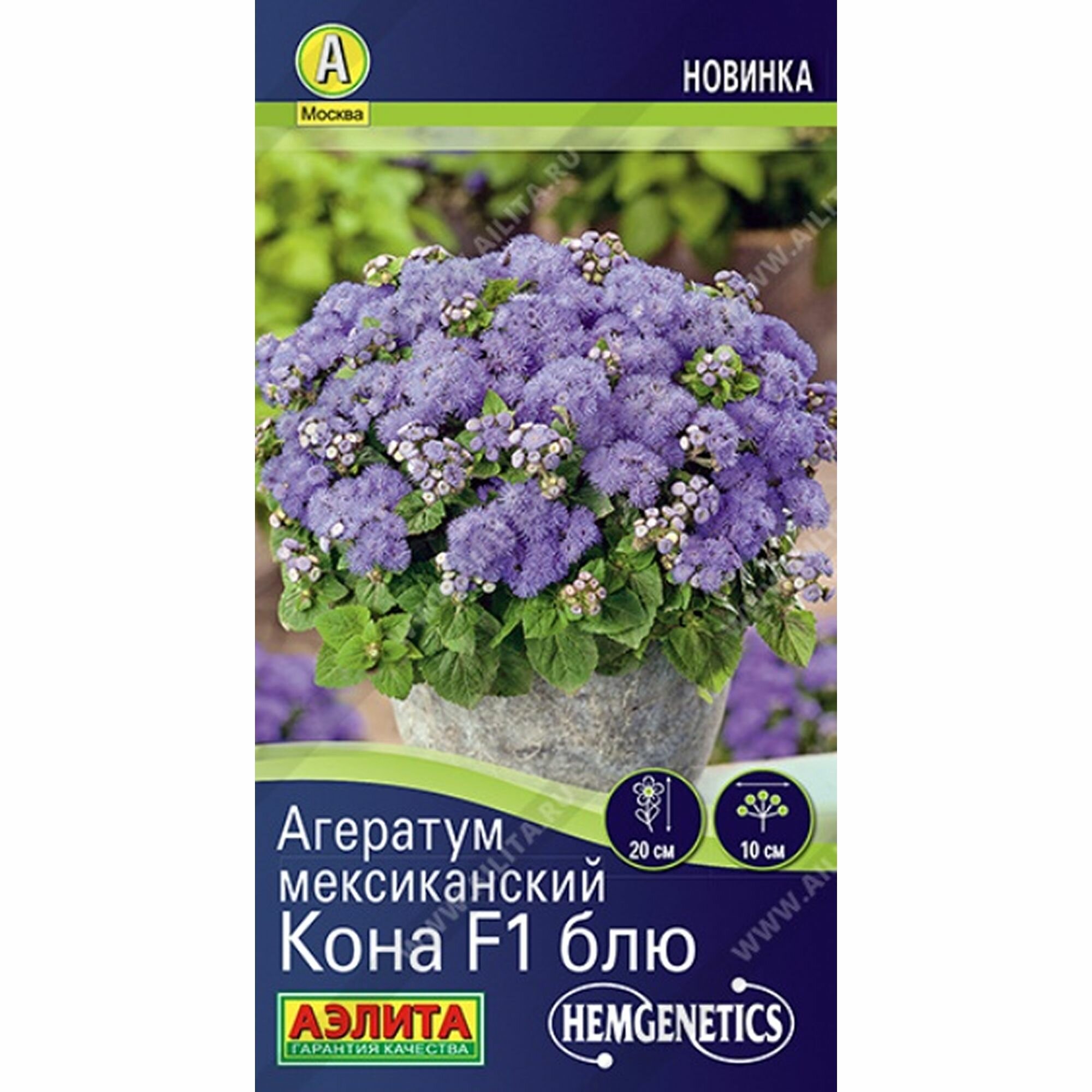 Семена Агератум мексиканский 