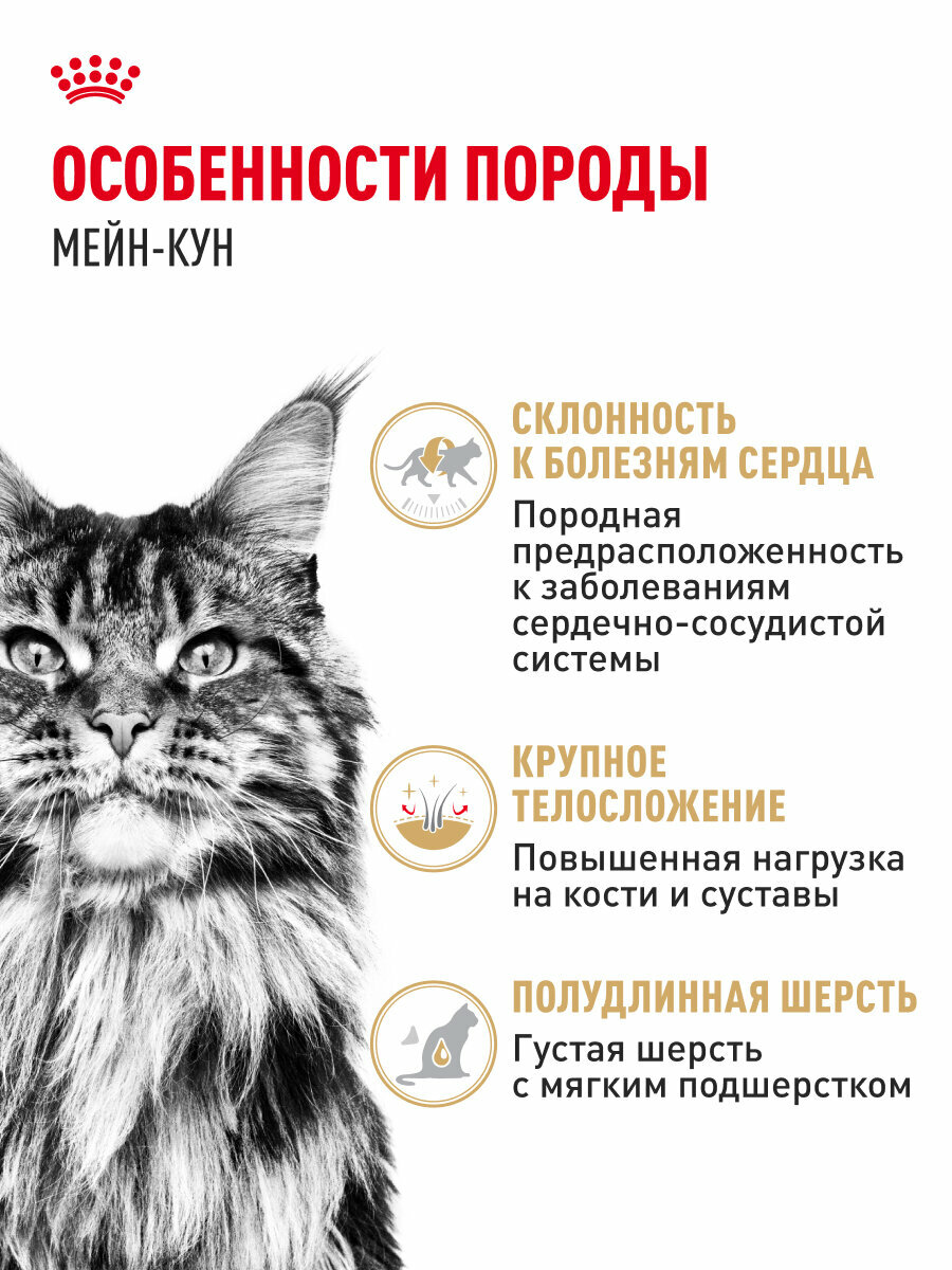 Влажный корм для кошек Royal Canin Adult для породы мейн кун кусочки в соусе, 28 шт по 85 г — фото 1