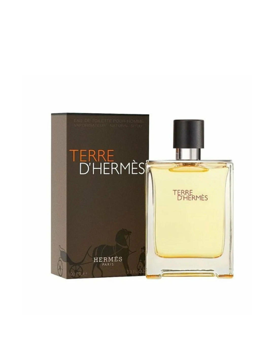 Hermes Terre D'Hermes Eau de Toilette 100мл - Парфюм для мужчин — фото 1