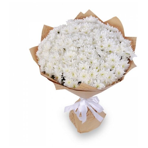 Букет из 25 белых кустовых хризантем