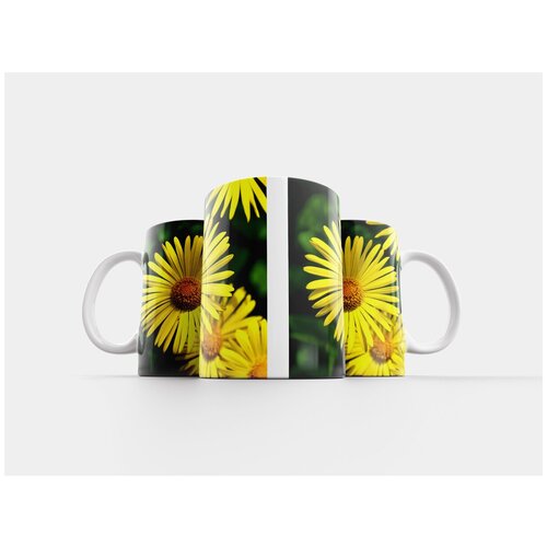 фото Кружка "gemswurz, цветок ромашка, многолетние растения" 320 мл lotsprints