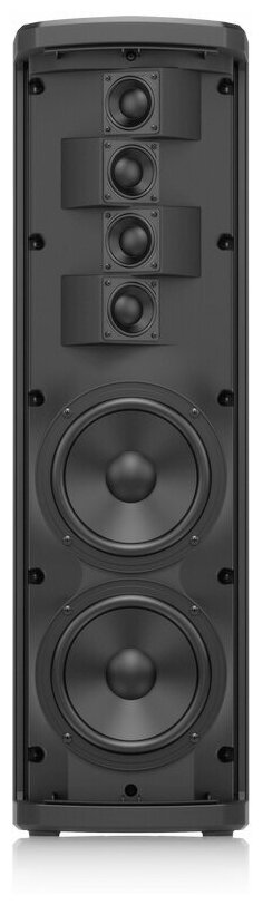 Turbosound IP300 Активная акустическая система