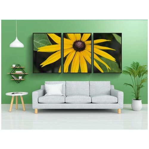 фото Набор модулных постеров для интерьера "рудбекия, цветок, желтые цветы" 60x90 см. в тубусе, без рамки lotsprints