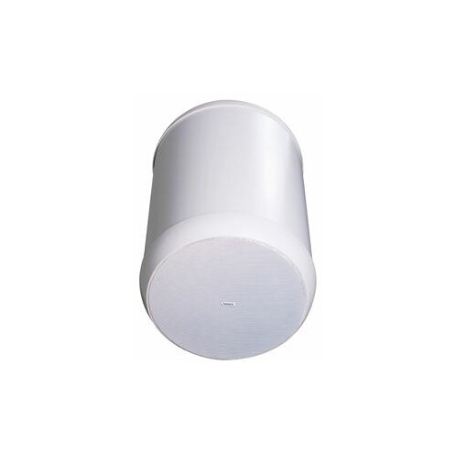 Tannoy OCV 6 белый подвесной коаксиальный громкоговоритель цилиндрической формы Закрытый корпус Номинальнаяпрограммнаяпиковая мощн 60 120 120 Вт Сопр 16 Ом НЧСЧ динамик 6 ВЧ - 079 Диапазон 60Гц-30кГц Материал корпуса - пл 4199000₽