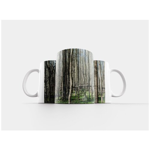 фото Кружка "лес, деревья, природа" 320 мл lotsprints