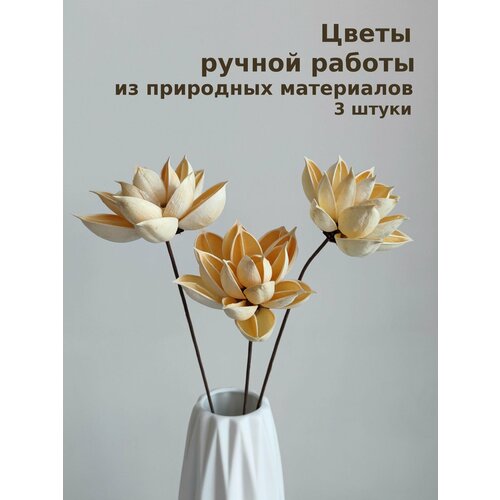 Букет из сухоцветов Лотос, 3 шт