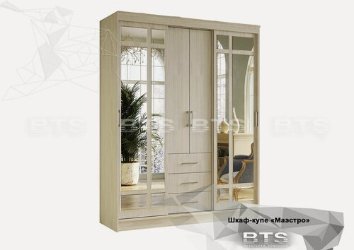 Изображение товара Шкаф-купе БТС Маэстро, ЛДСП/зеркало, 170 см х 59 см x 220 см