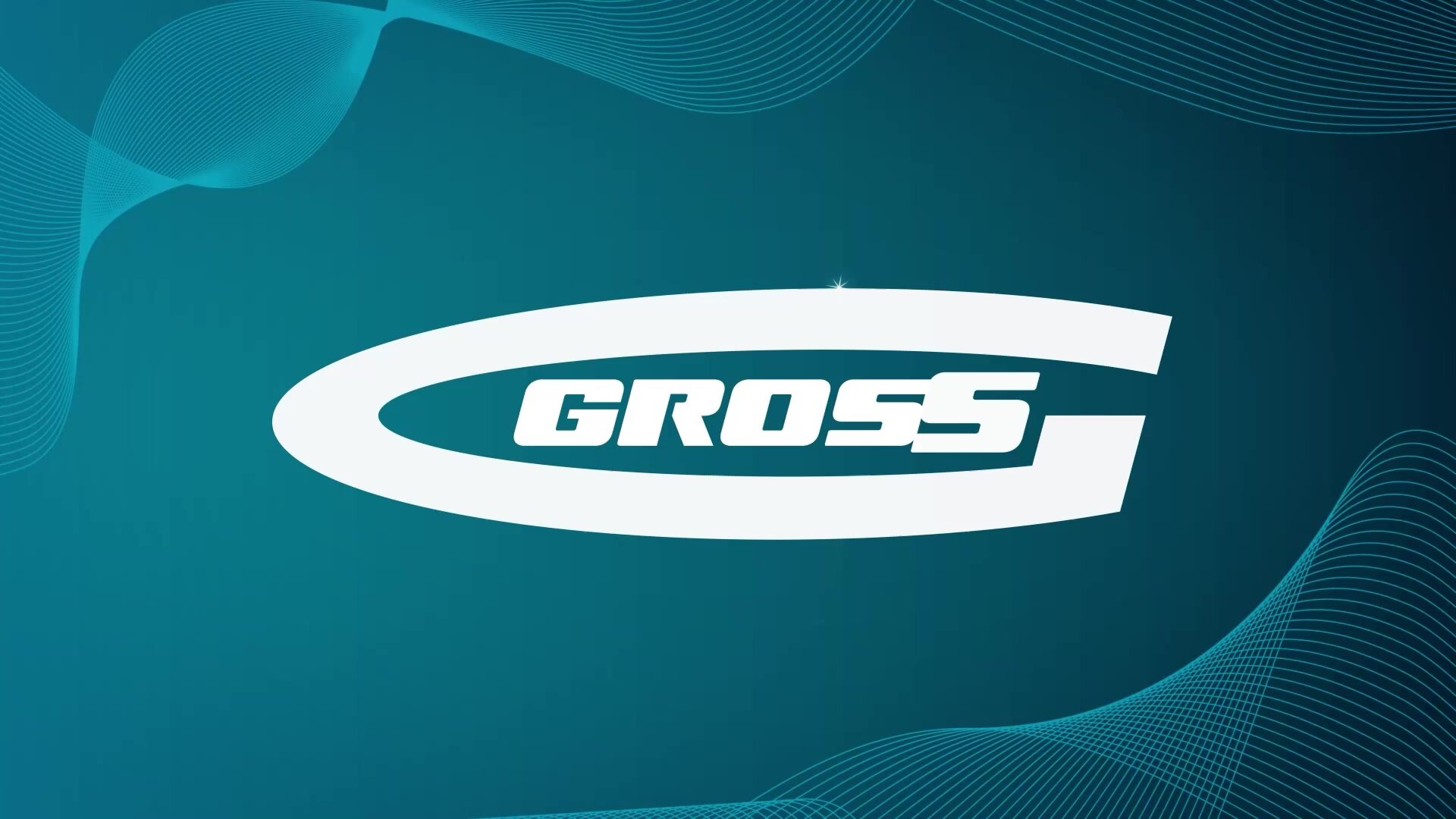 Набор бит для шуруповерта Gross PH2 х 50, 10 штук, сталь S2, намагниченный шлиц, шестигранный хвостовик 1/4", 11264 — фото 1
