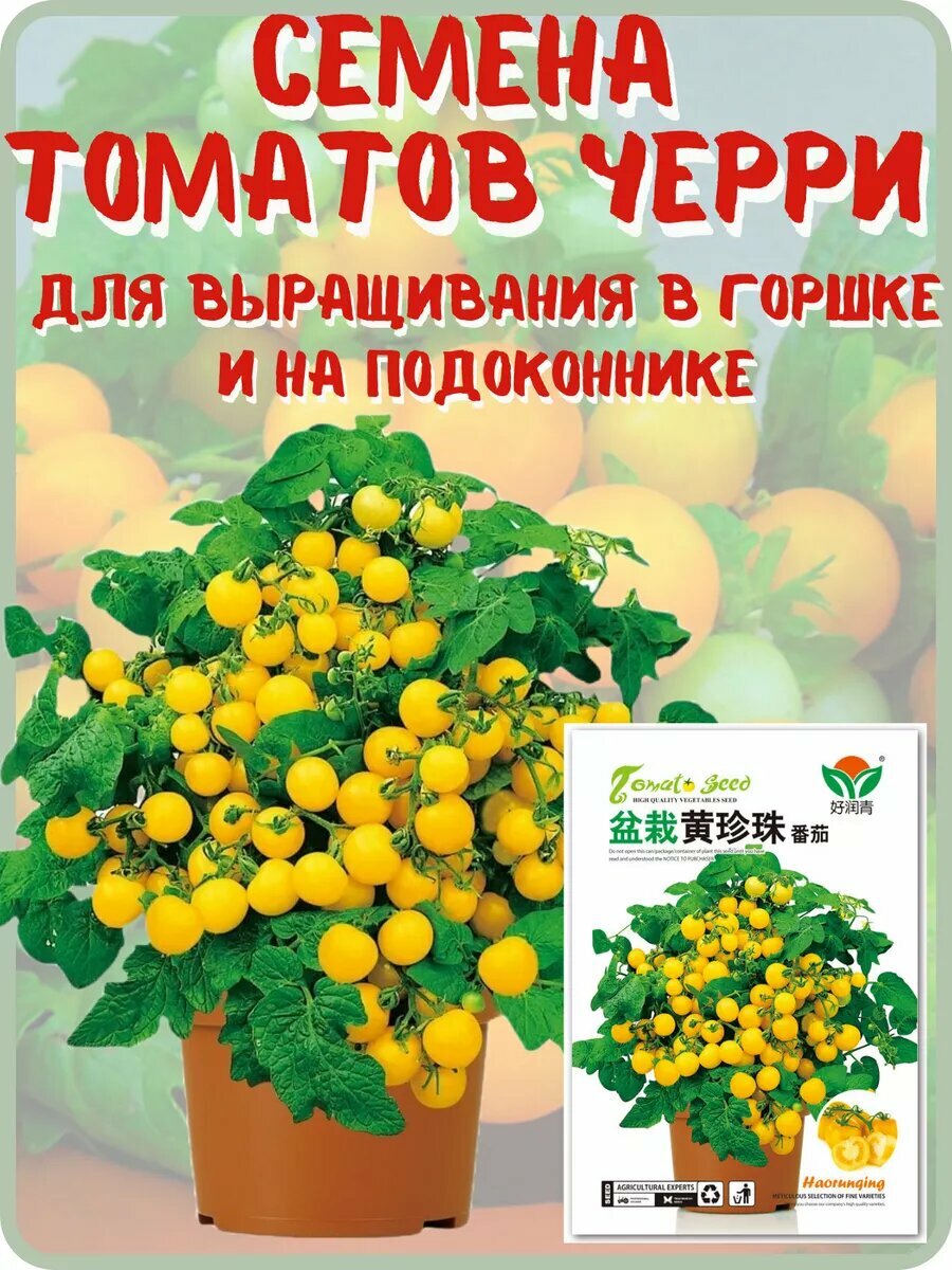 Балконные жёлтые томаты. Семена помидоров черри