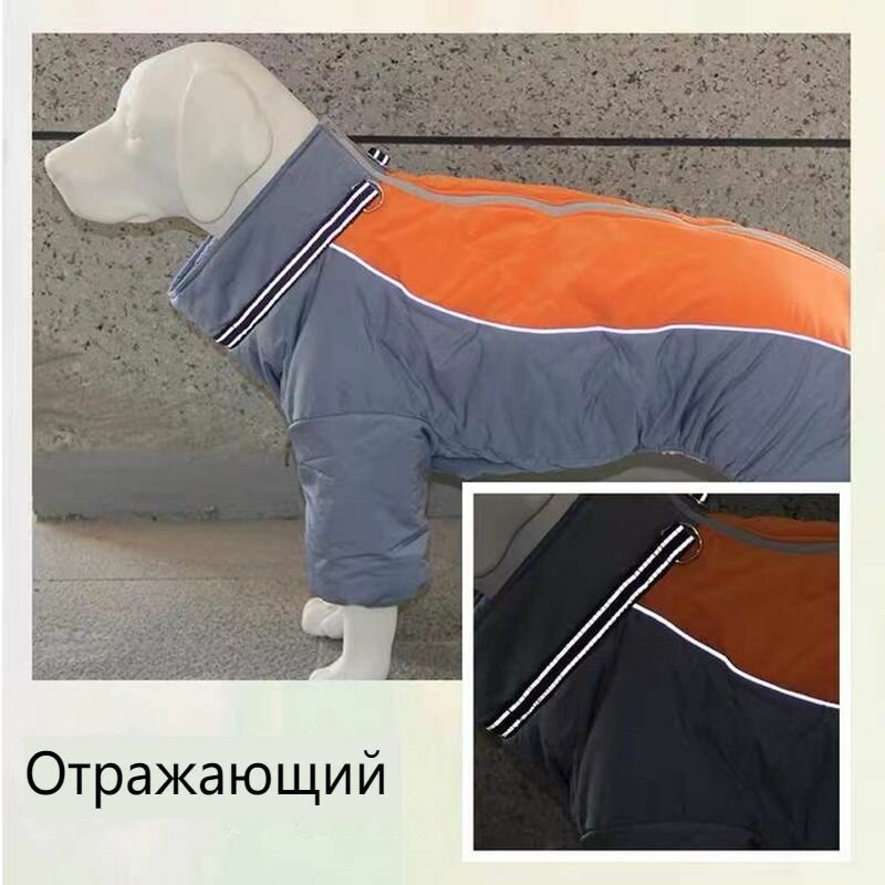 Одежда для животных — фото 1