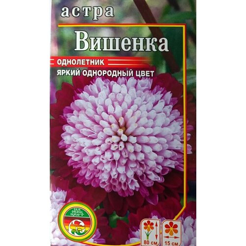 Семена Цветов Астра Вишенка однолетник 0,4 г printio пакет 15 5x22x5 см лепестки цветов