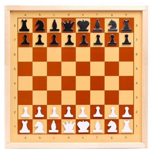 Шахматы и шашки демонстрационные магнитные мини 1430₽