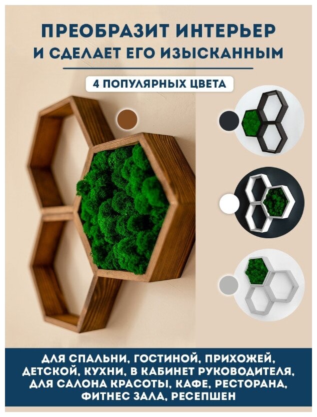 Полки соты со мхом, полка настенная, панно настенное, декор для дома, декор для интерьера