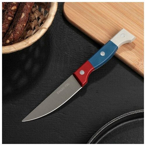 Нож кухонный Доляна Триколор, лезвие 8,5 см, пластик, коррозионностойкая сталь