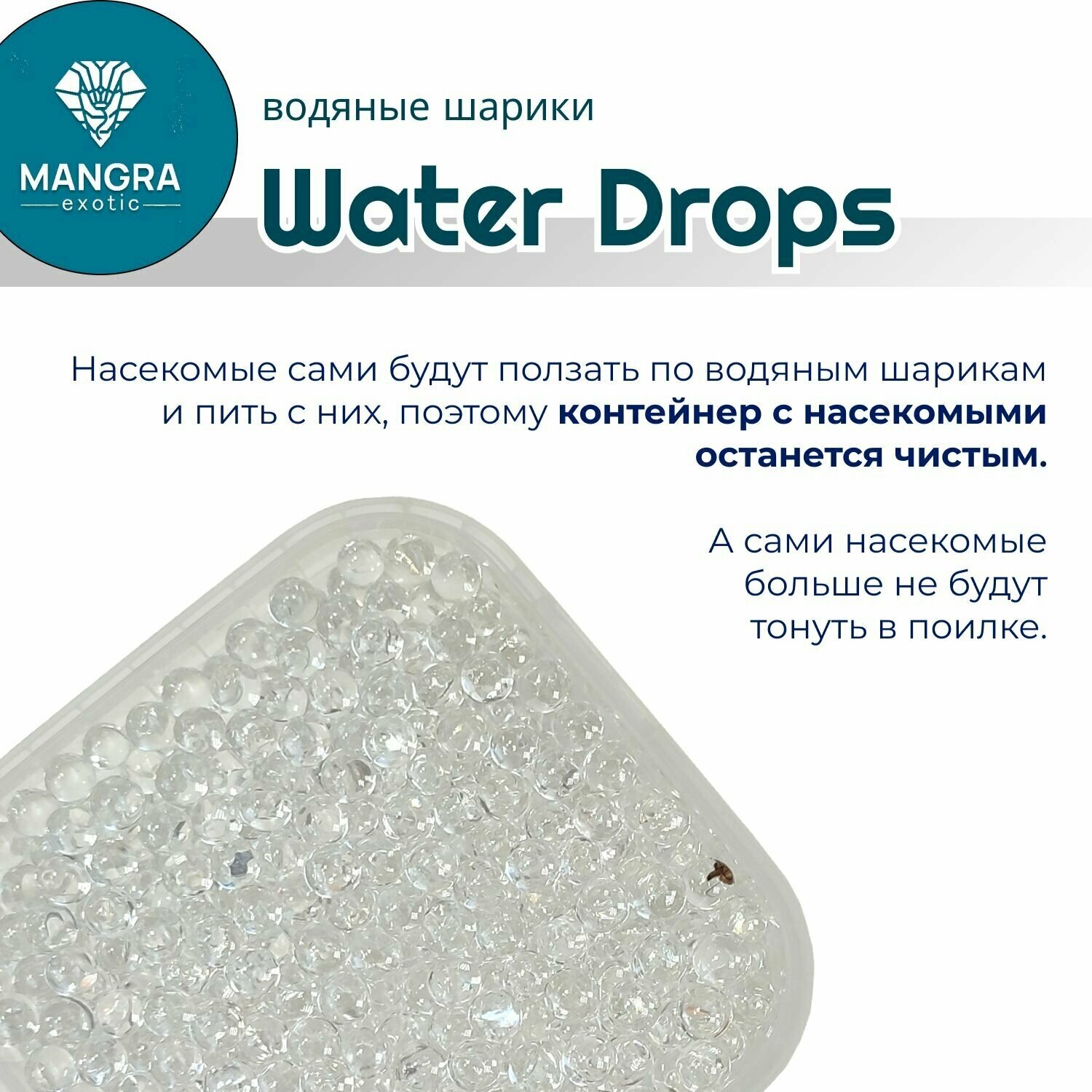 Водяные шарики MANGRA exotic "Water Drops" (650 мл) - источник чистой воды для тараканов, сверчков, саранчи, сколопендр, для всех видов насекомых - фотография № 4