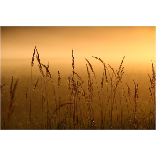 фото Интерьерная картина-обогреватель warmart "пшеничное поле" 60х100 см