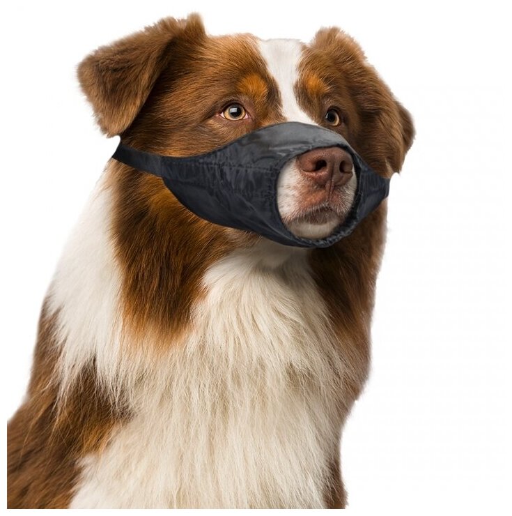 Намордник для собак DUVO+ "Dog Muzzle", черный, XXL (Бельгия) - фотография № 8