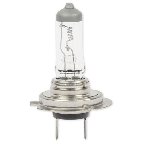 фото Лампа "ganz" 24v h7 100w px26d
