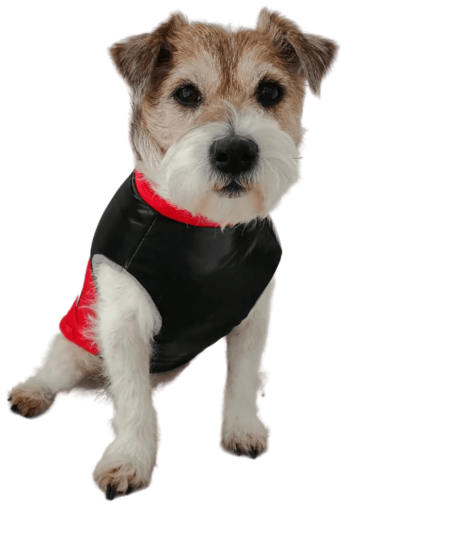 Одежда для собак мелких и средних пород на флисовой подкладке цвет красный глянцевый, куртка размер L, жилет для собак зима весна - фотография № 12