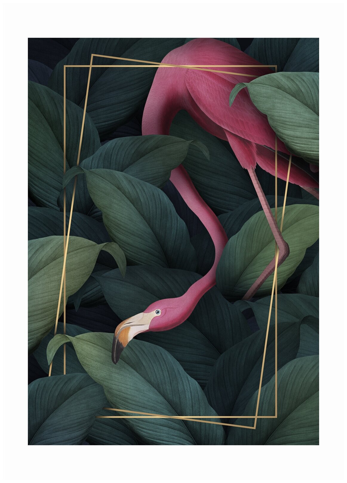 Постер / Плакат / Картина Фламинго в золотой рамке