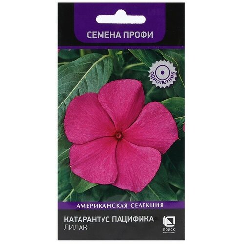 Семена цветов Катарантус Пацифика Лилакт 10 шт