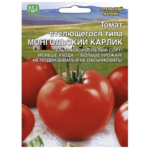Томат Монгольский Карлик 20шт Дет Ранн (УД) - 10 пачек