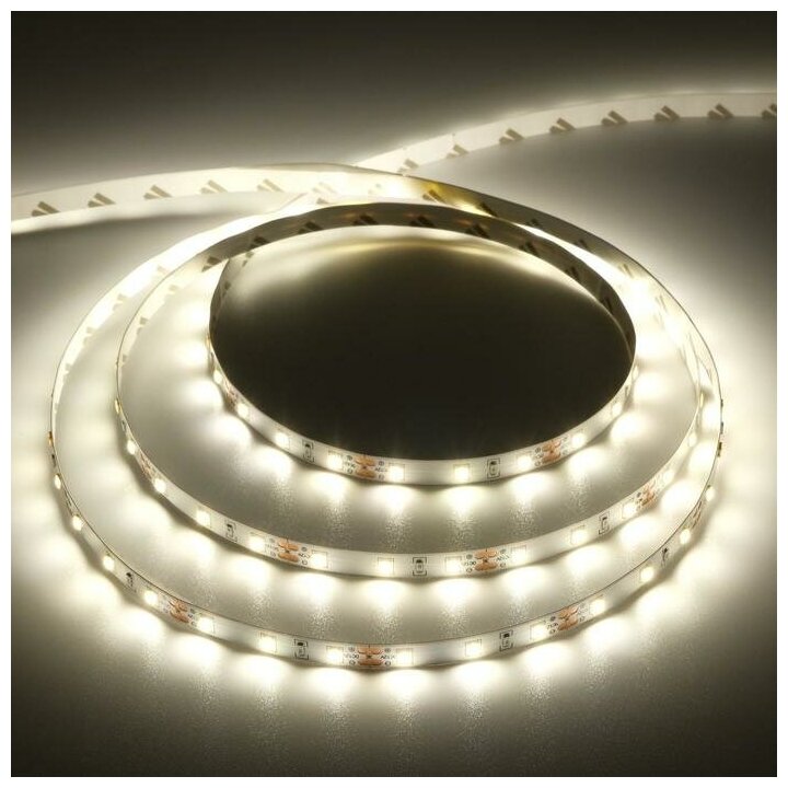 Светодиодная лента Ecola PRO, 12В, SMD2835, 5 м, IP20, 8Вт/м, 60 LED/м, 4200К 5501898