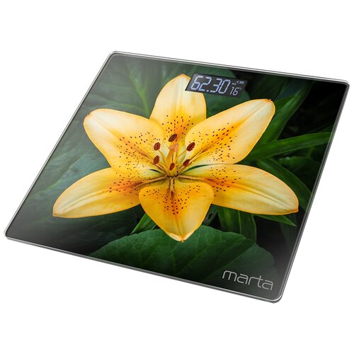   MARTA MT-1676 , 