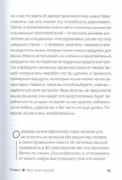 Кот в доме хозяин! Как понять своего питомца, подружиться и не навредить - фото №20