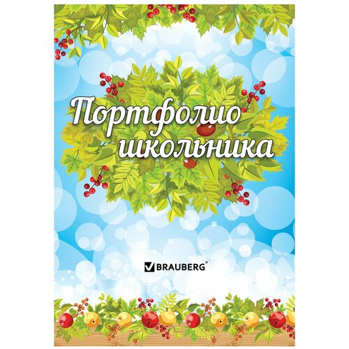 Листы-вкладыши BRAUBERG 126896, комплект 5 шт. brauberg листы вкладыши для портфолио школьника я и школа голубой