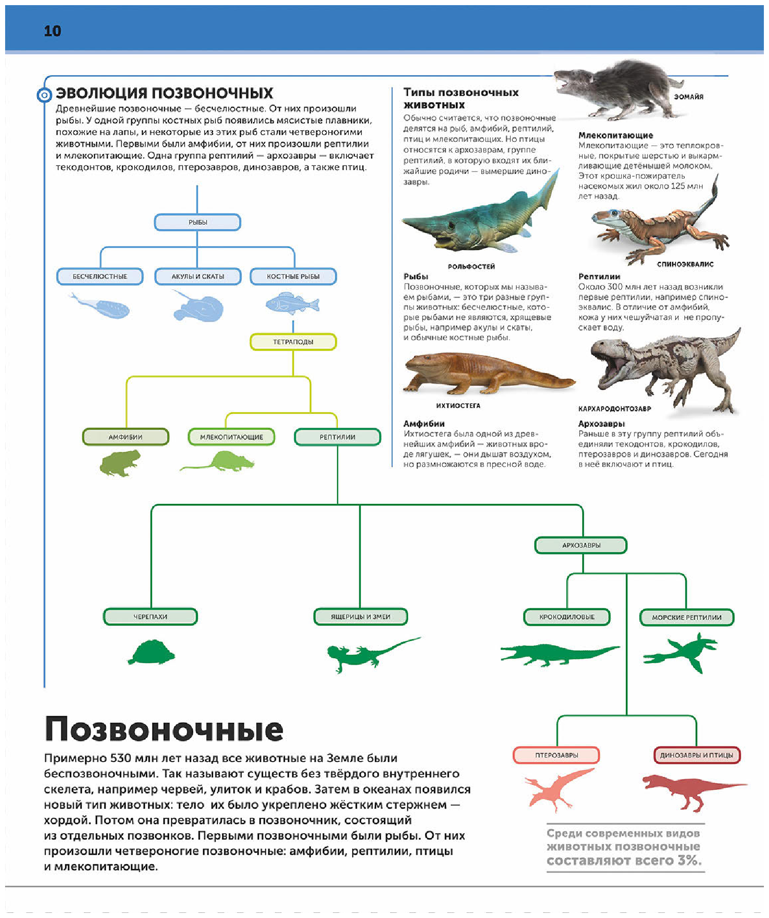 Динозавры. Самая полная современная энциклопедия - фото №16