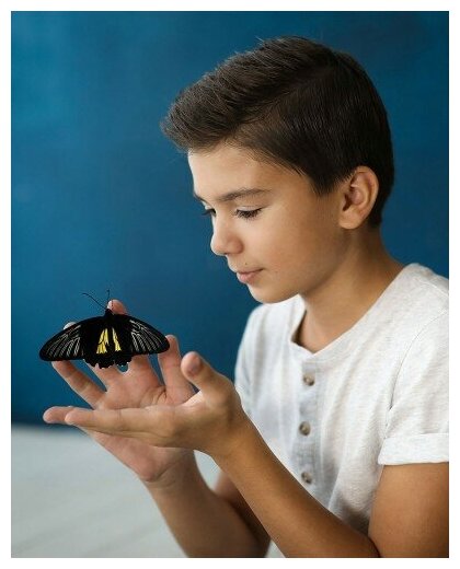 Ферма бабочек "Бабочкарий" на 5 куколок / Детский развивающий набор для исследований от Флай-Флай - фотография № 5