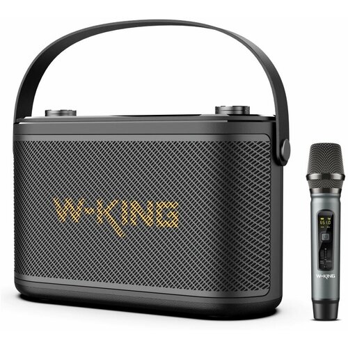 Портативная акустика W-King H10S с караоке и инструментальным входом 2499000₽