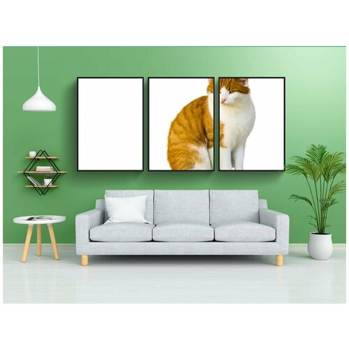 фото Набор модулных постеров для интерьера "дикая природа, кот, домашняя кошка" 60x90 см. в тубусе, без рамки lotsprints