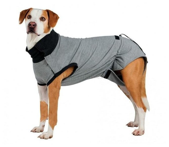 Попона для собак Trixie Protective Body M, размер 45см, серый
