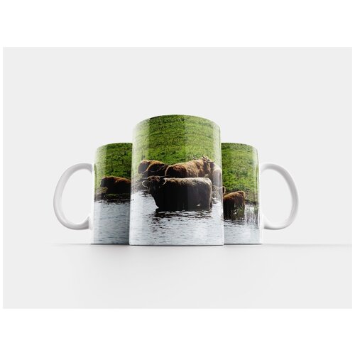 фото Кружка "зубр, горцы, шотландские горцы" 320 мл lotsprints