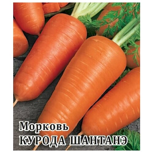 Гавриш Морковь Курода Шантанэ 100 грамм