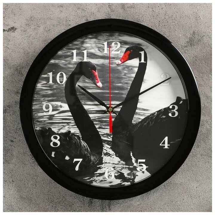 Соломон Часы настенные, серия: Животный мир, "Лебеди", плавный ход, d=28 см